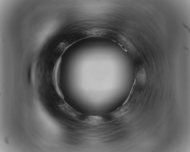 X0000097810429200803141123