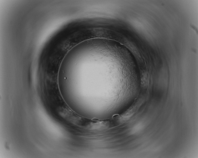 X0000097810430200803141123
