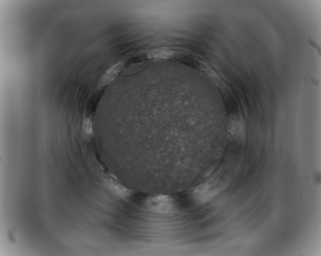 X0000097810431200803141123