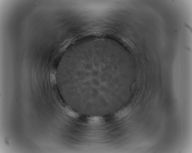 X0000097810432200803141123
