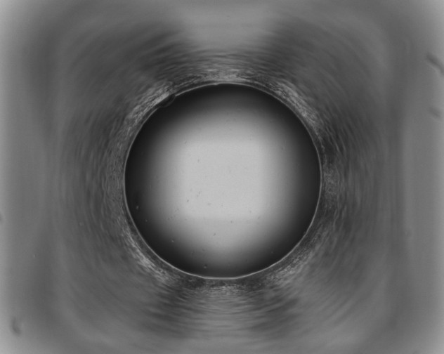 X0000097810433200803141122