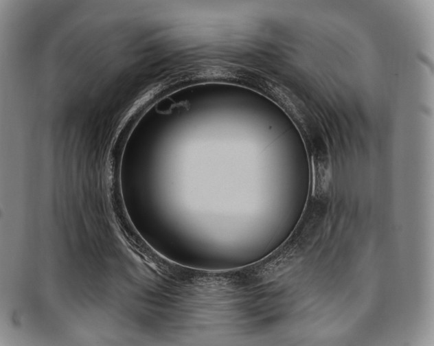 X0000097810435200803141122