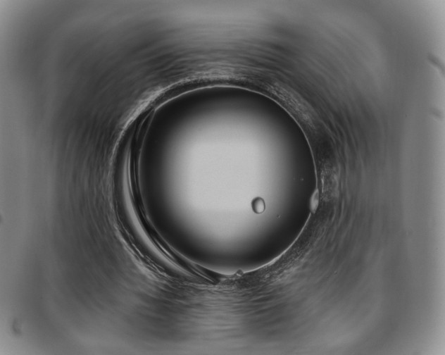 X0000097810436200803141122