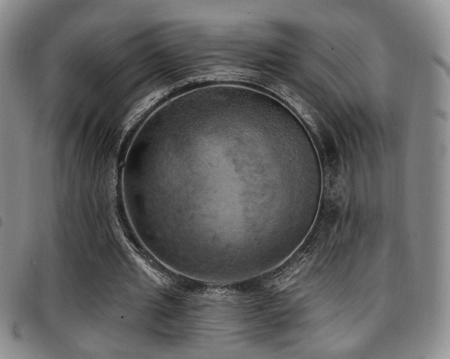 X0000097810437200803141122