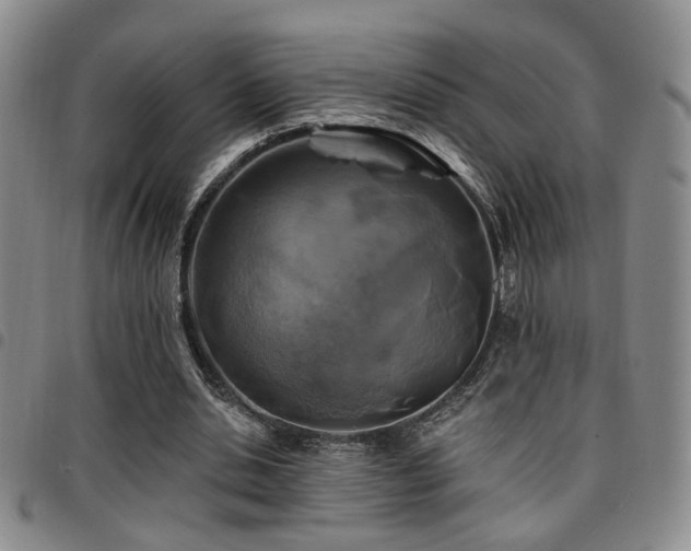 X0000097810438200803141122