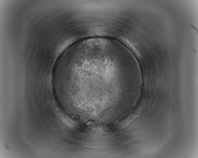 X0000097810439200803141122