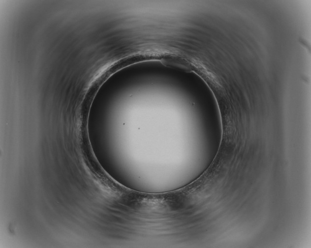 X0000097810440200803141122