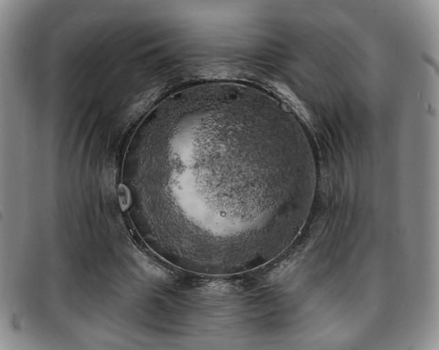 X0000097810441200803141122