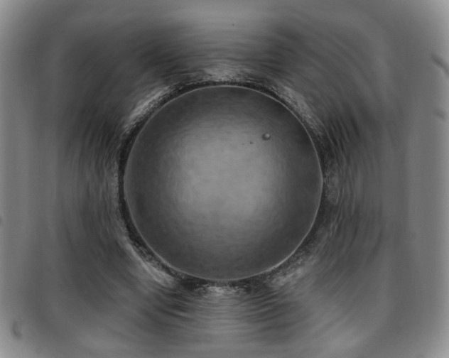 X0000097810442200803141122