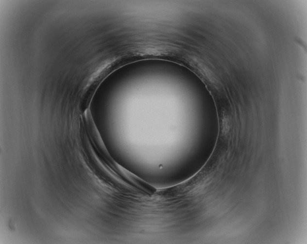 X0000097810444200803141122
