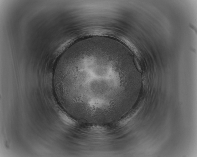X0000097810445200803141122