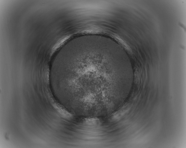 X0000097810446200803141122