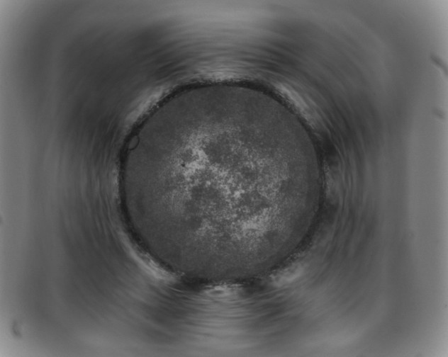 X0000097810447200803141122