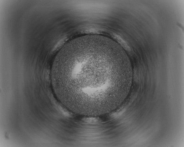 X0000097810449200803141122
