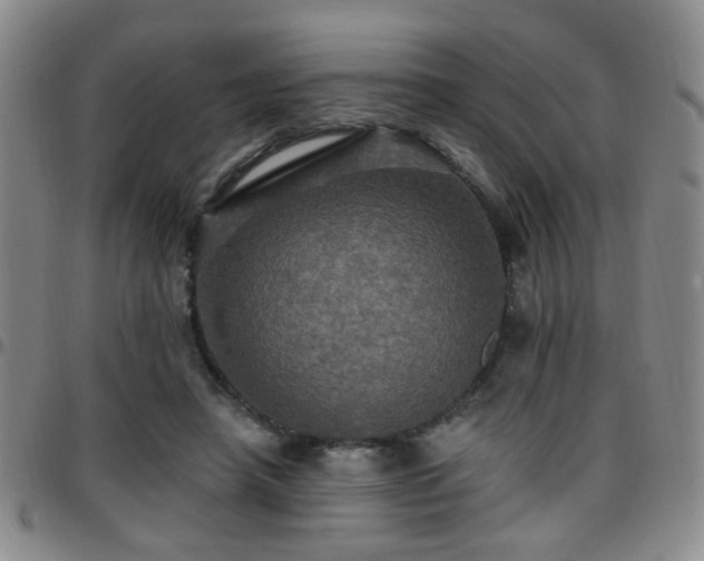 X0000097810450200803141122