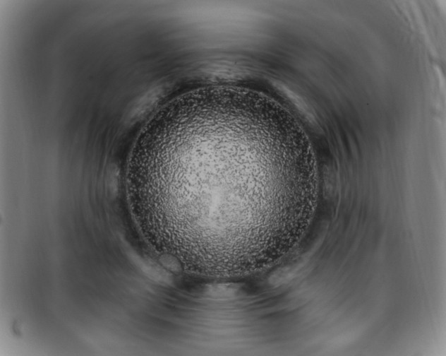 X0000097810451200803141122