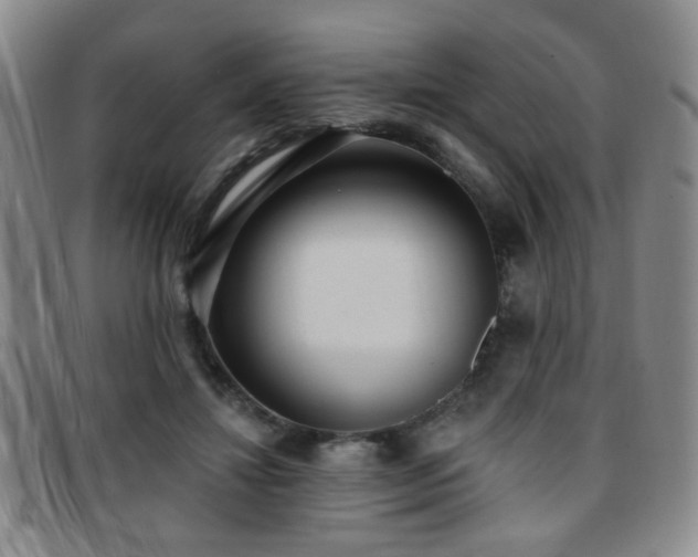 X0000097810452200803141122