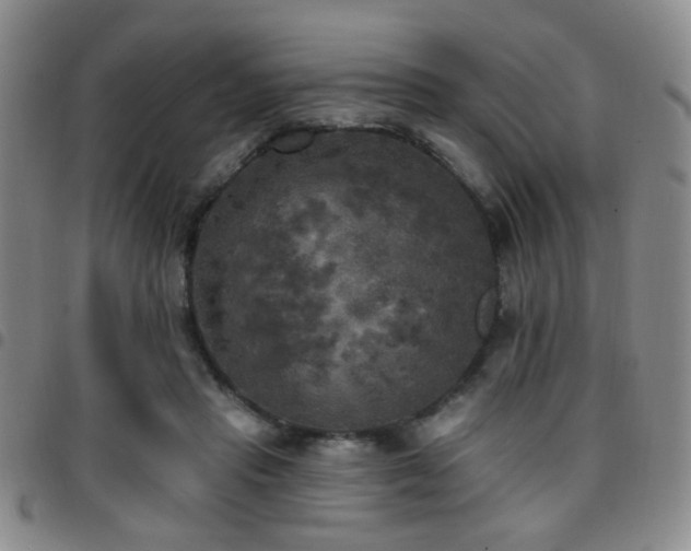 X0000097810453200803141122