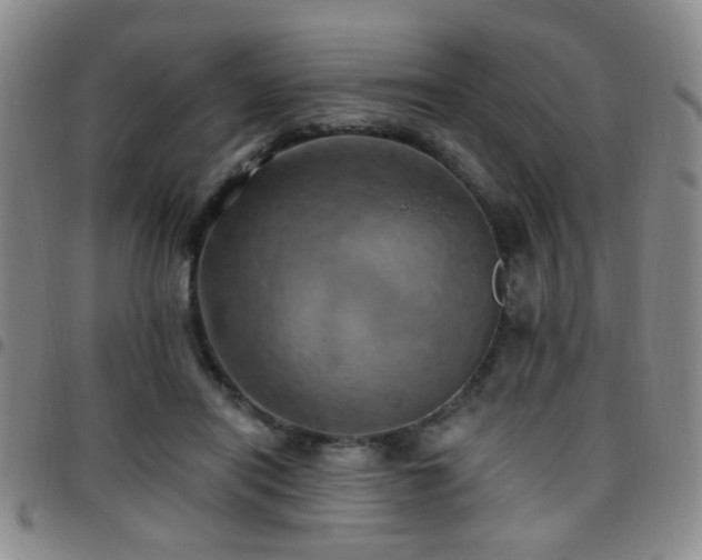 X0000097810454200803141122