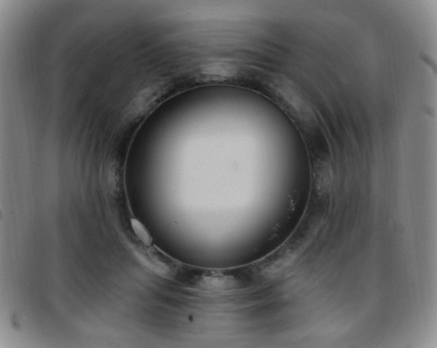 X0000097810455200803141122