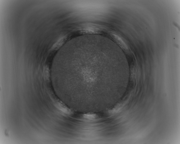 X0000097810457200803141122