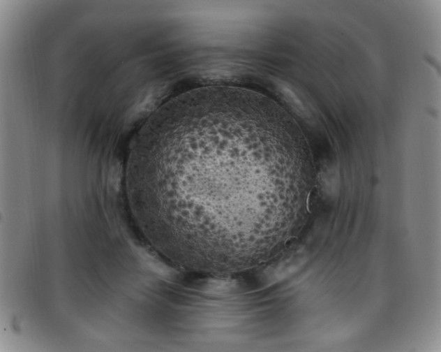 X0000097810458200803141122