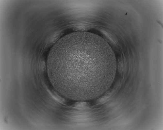 X0000097810459200803141122
