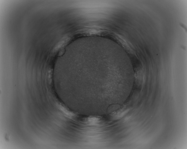 X0000097810462200803141122