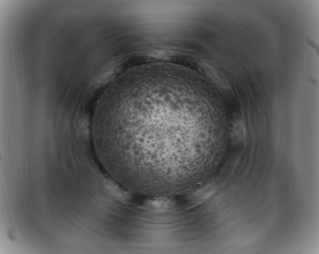 X0000097810466200803141122