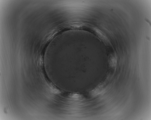 X0000097810467200803141122