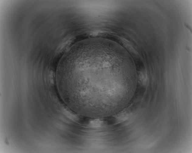 X0000097810470200803141122