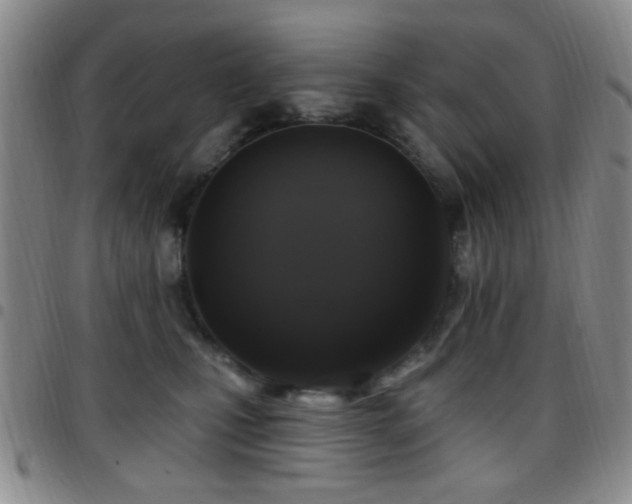 X0000097810471200803141122