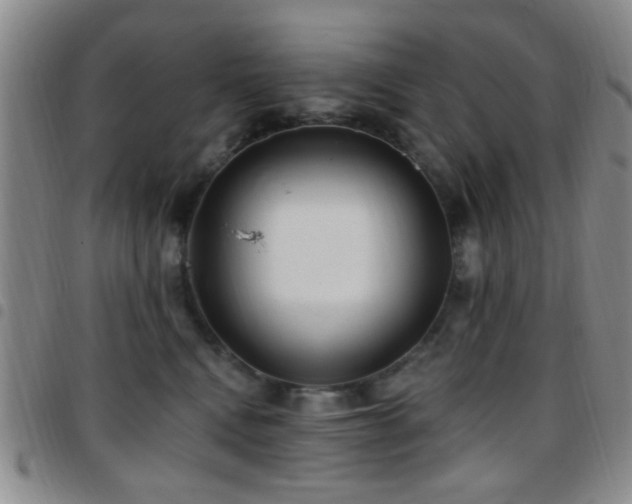 X0000097810472200803141122