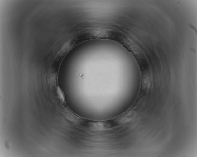 X0000097810473200803141122