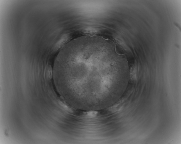 X0000097810474200803141122