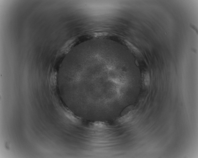 X0000097810475200803141122