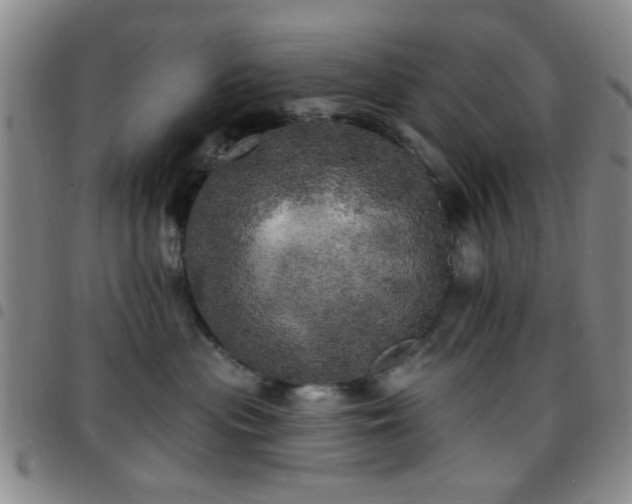 X0000097810477200803141123