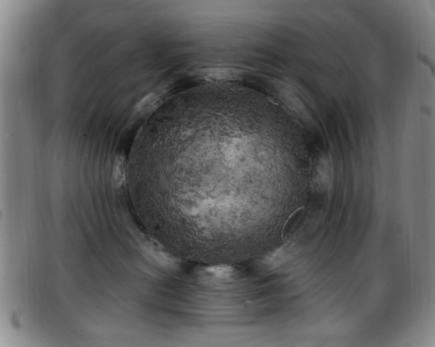 X0000097810478200803141123