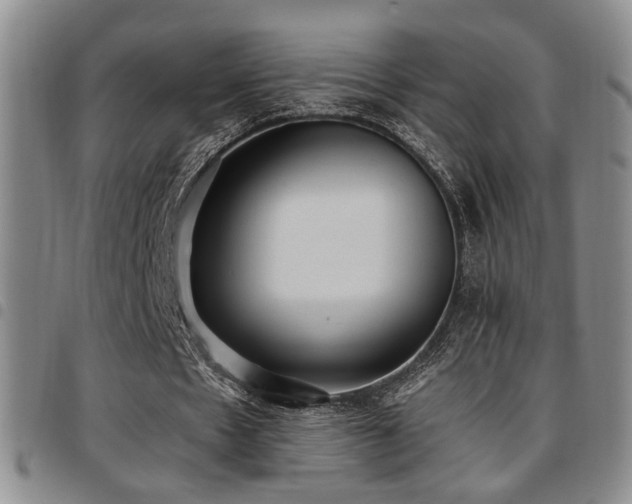 X0000097810481200803141122