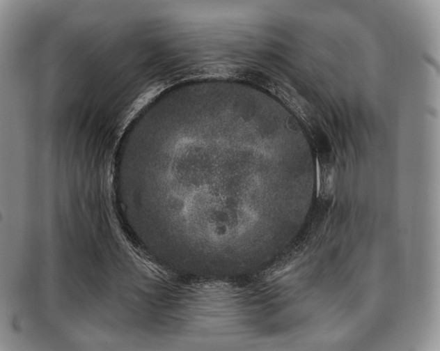 X0000097810483200803141122