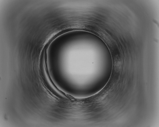 X0000097810484200803141122