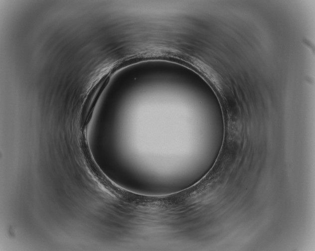 X0000097810485200803141122