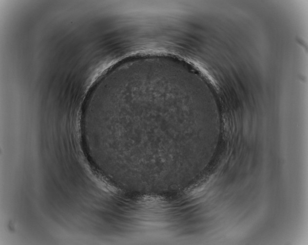 X0000097810487200803141122