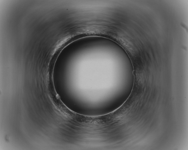 X0000097810488200803141122