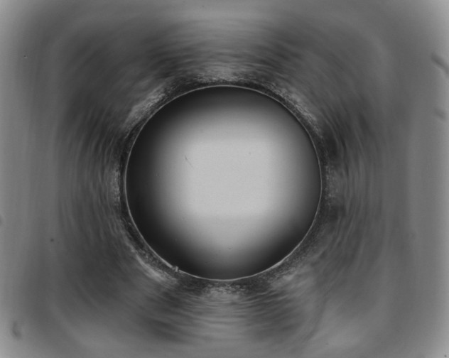 X0000097810489200803141122
