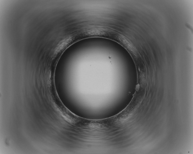X0000097810490200803141122