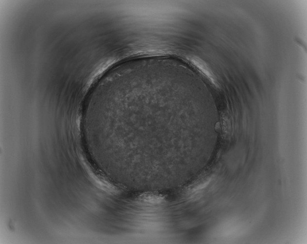 X0000097810491200803141122