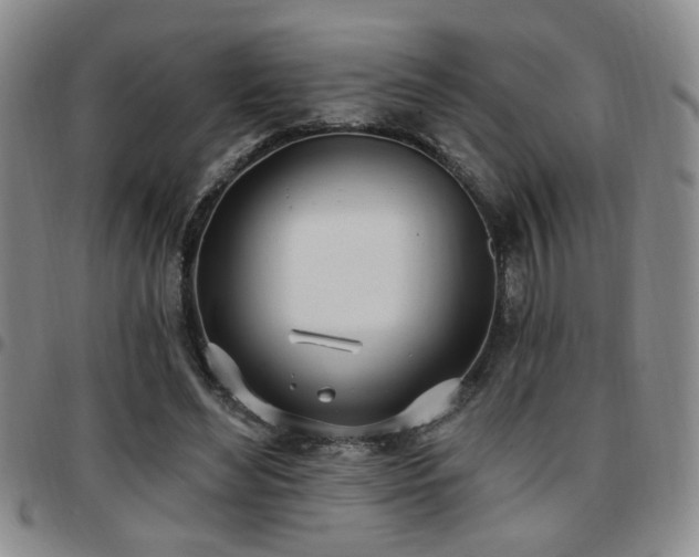 X0000097810492200803141122