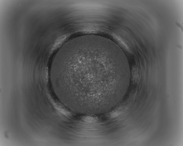 X0000097810494200803141122
