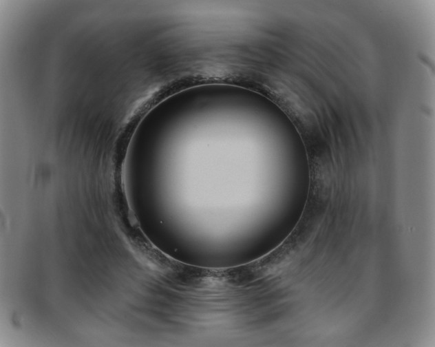 X0000097810496200803141122
